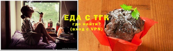 индика Медногорск