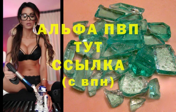 твердый Майский