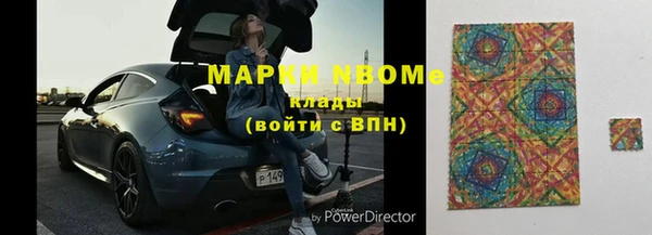 индика Медногорск
