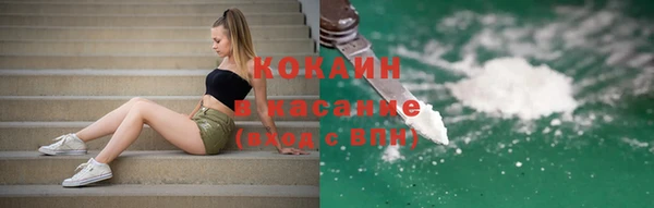 индика Медногорск