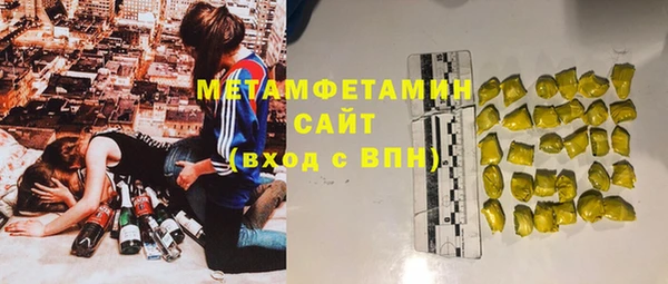 индика Медногорск