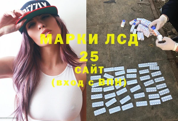 индика Медногорск