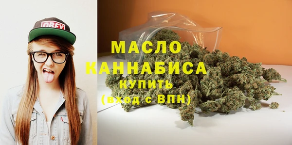 индика Медногорск
