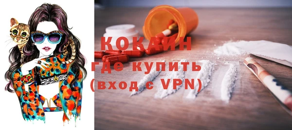 твердый Майский