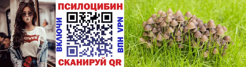сайты даркнета какой сайт  Тбилисская  Галлюциногенные грибы GOLDEN TEACHER 